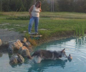 Ohmi Worried about the fake duck