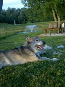 Ohmi chillin at the pond